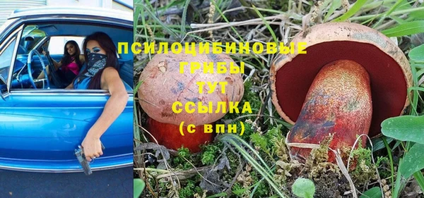 амф Балахна