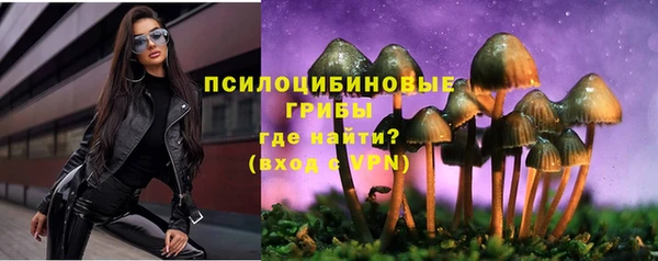 сатива Баксан